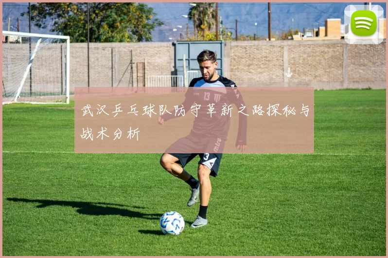 武汉乒乓球队防守革新之路探秘与战术分析