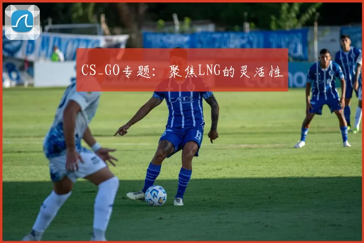 CS_GO专题：聚焦LNG的灵活性