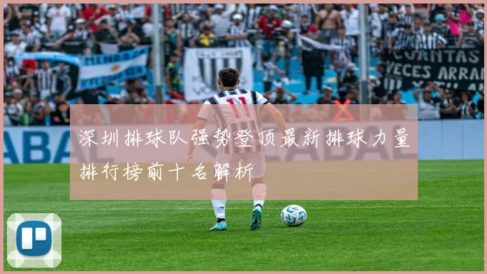 深圳排球队强势登顶最新排球力量排行榜前十名解析